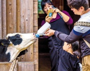 미세먼지 없는 청정 자연에서 팜스테이하세요