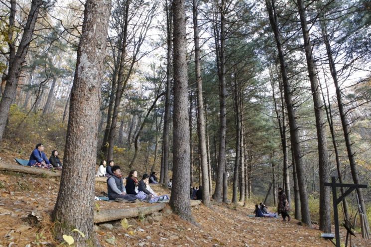 홍천힐리언스선마을에서 진행된 매일유업의 베이비문행사에 참석한 예비엄마아빠들이 산림치유명상을 함께하고있다.