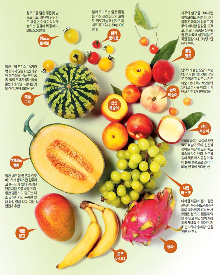 애플수박·신비복숭아, 과일의 신인 스타 탄생