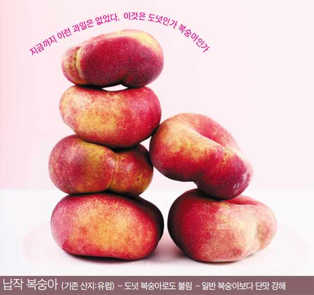 상하농원 