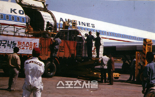 1973년 국내 최초로 매일유업이 항공기를 통해 수입한 젖소를 하역하고 있다. 제공| 매일유업
