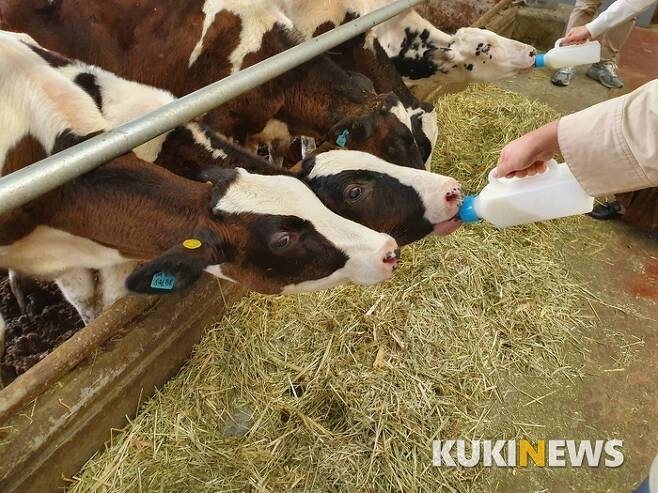 상하농원부터 갯벌까지… 자연·인간이 공존하는 생태도시 고창
